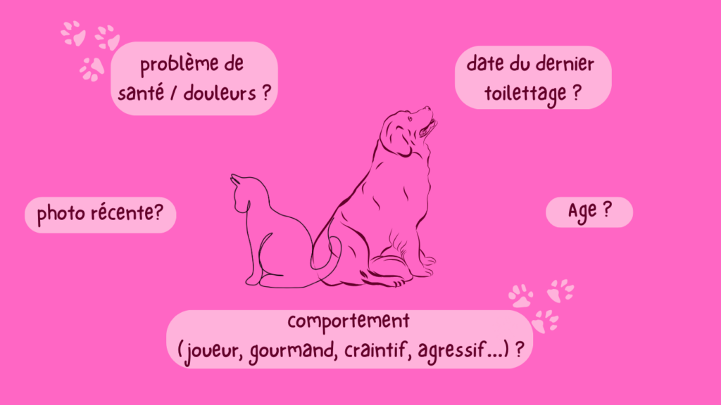sofie toilettage chien chat mouilleron le captif