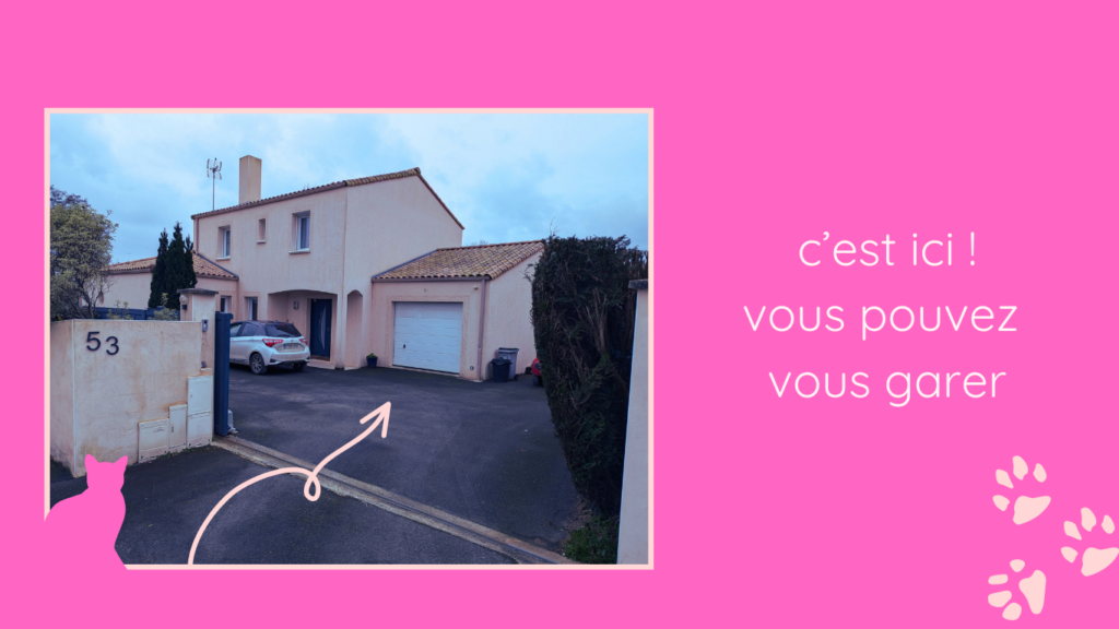 sofie toilettage chien chat mouilleron le captif
