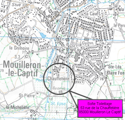 sofie toilettage chien chat mouilleron le captif